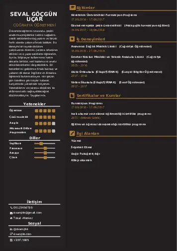 Coğrafya Öğretmeni CV Örnekleri cv indir